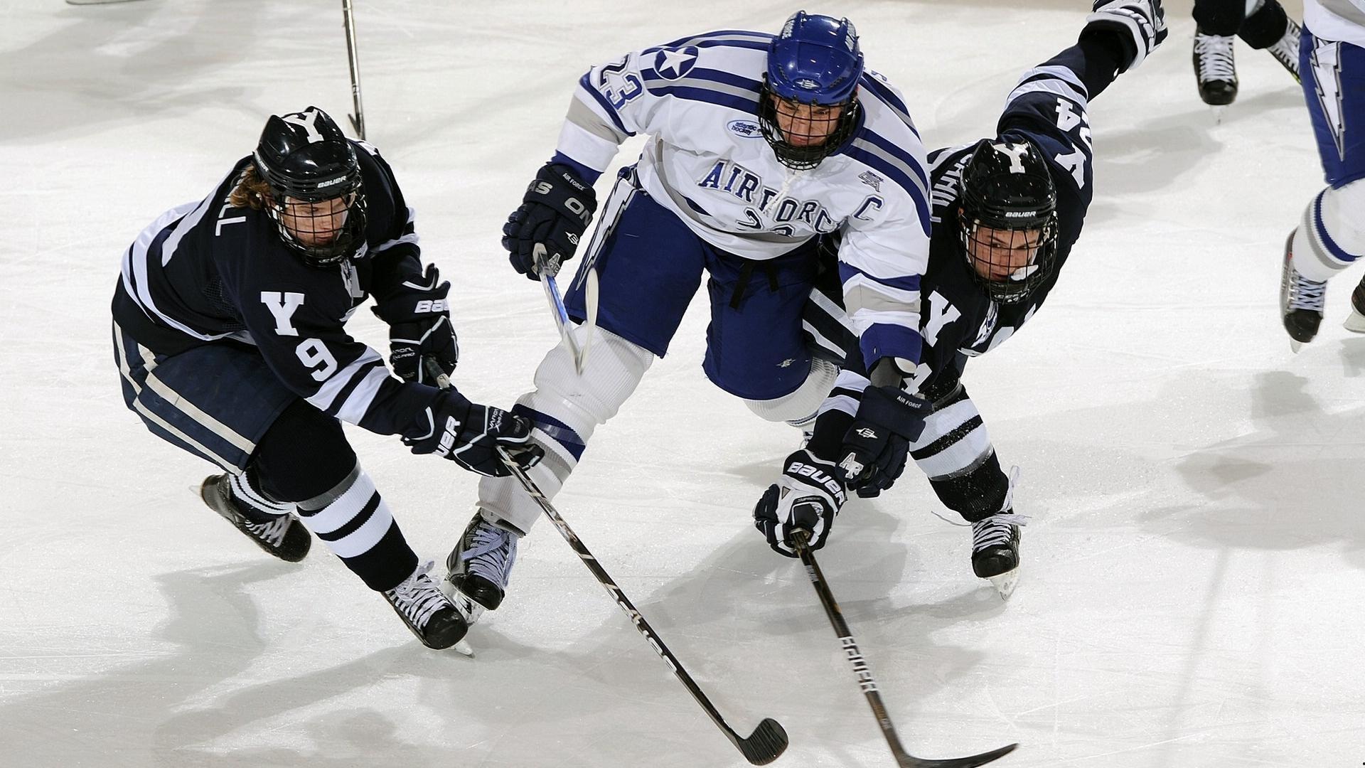 非洲杯决赛一票难求，摩洛哥球迷奇招尽出引爆科特迪瓦球市